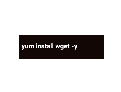 دستور نصب wget